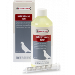 INTESTINAL TOP