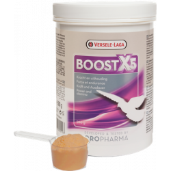 BOOST X5