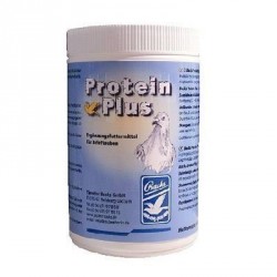 Backs Protein Plus