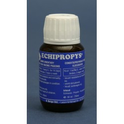 Echipropys BVP