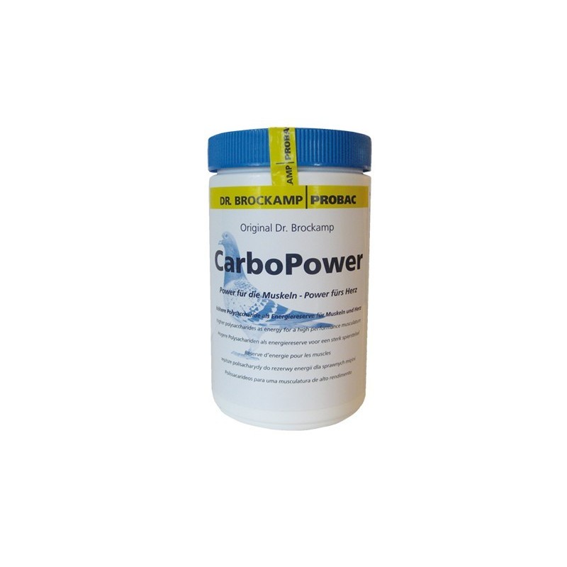 Carbo Power 500 grs 
