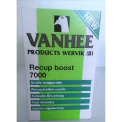 Recup Boost 7000 
