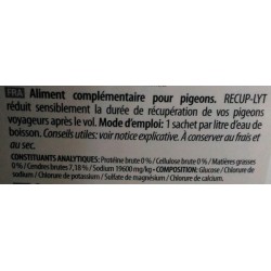 RECUP-LYT 
