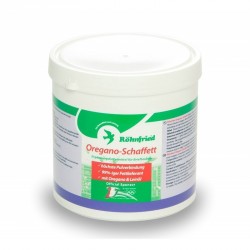 Oregano-Schaffett