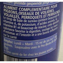 Jus de baie de sureau en sirop BVP